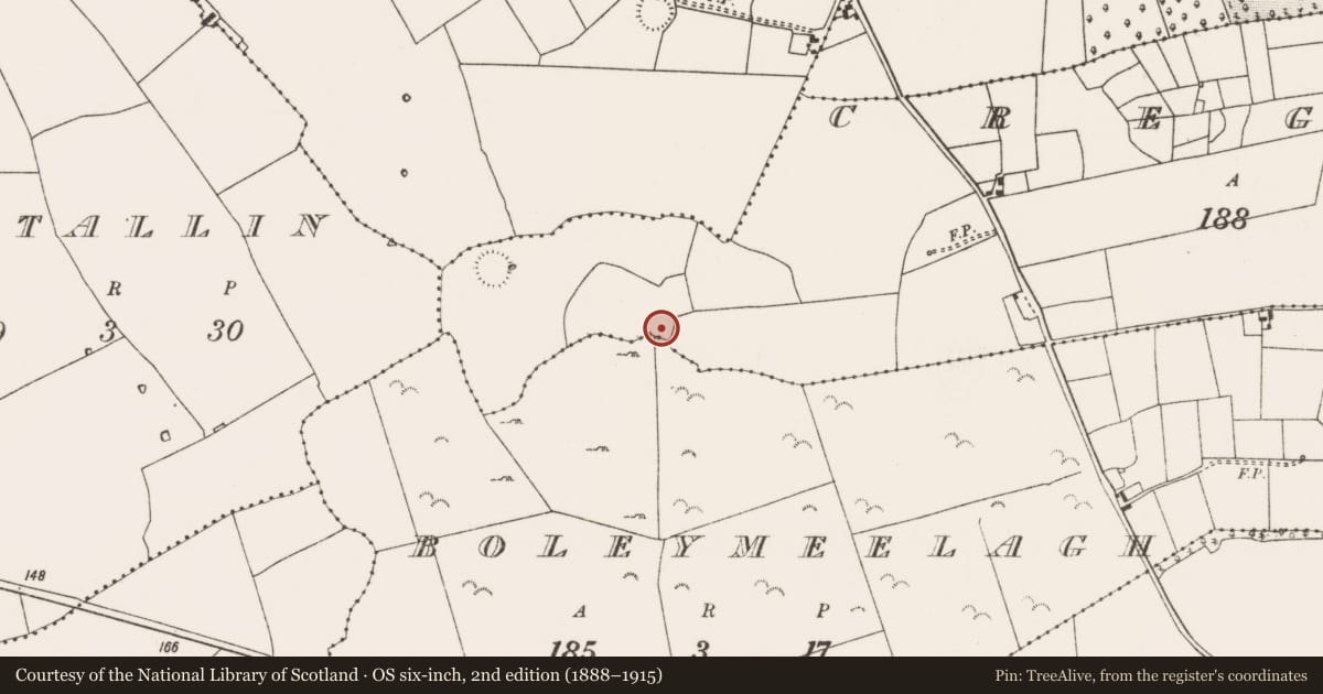 Ordnance Survey six-inch map, 2nd edition (1888–1915) covering the location of Enclosure, County Mayo, with a pin at the register's coordinates