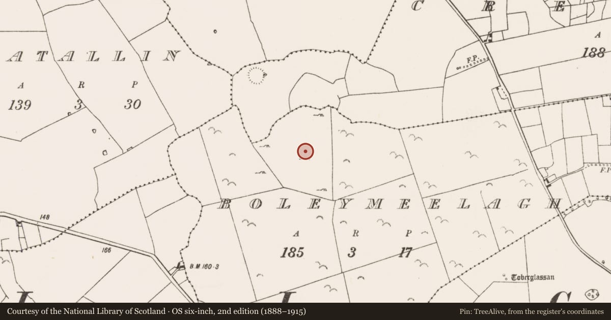 Ordnance Survey six-inch map, 2nd edition (1888–1915) covering the location of Field system, County Mayo, with a pin at the register's coordinates