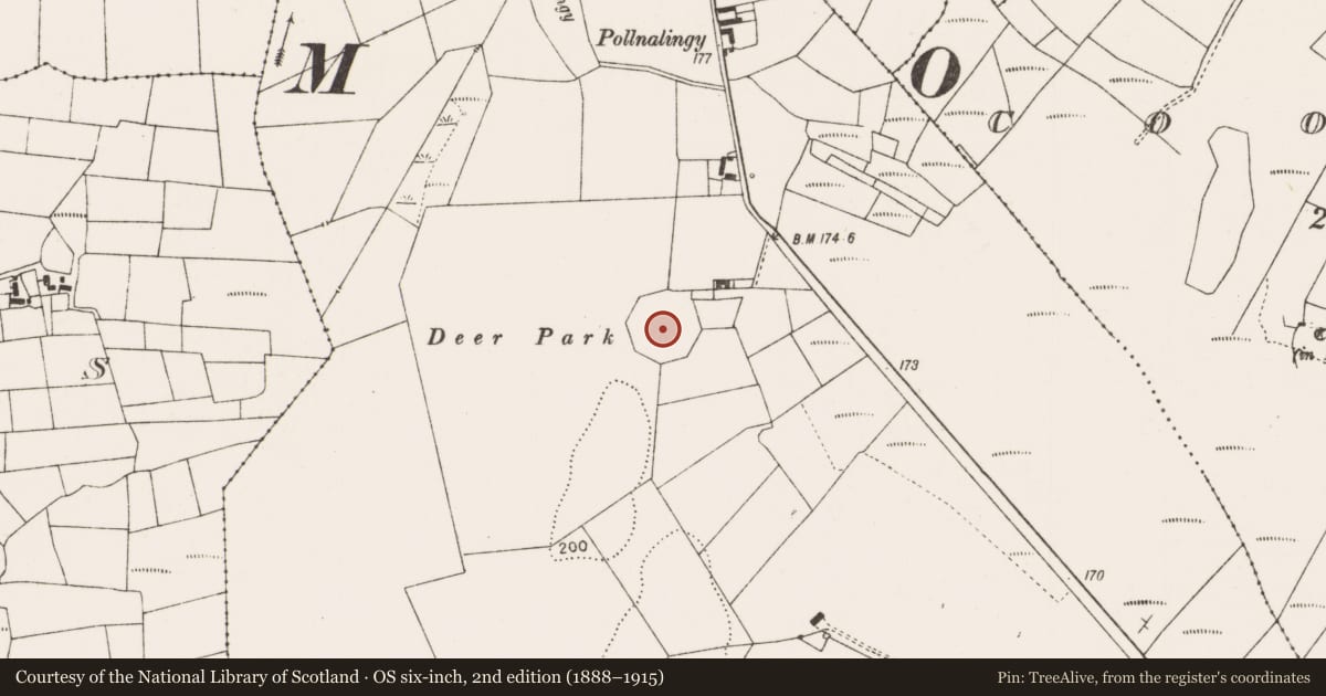 Ordnance Survey six-inch map, 2nd edition (1888–1915) covering the location of Enclosure, Frenchgrove, County Mayo, with a pin at the register's coordinates