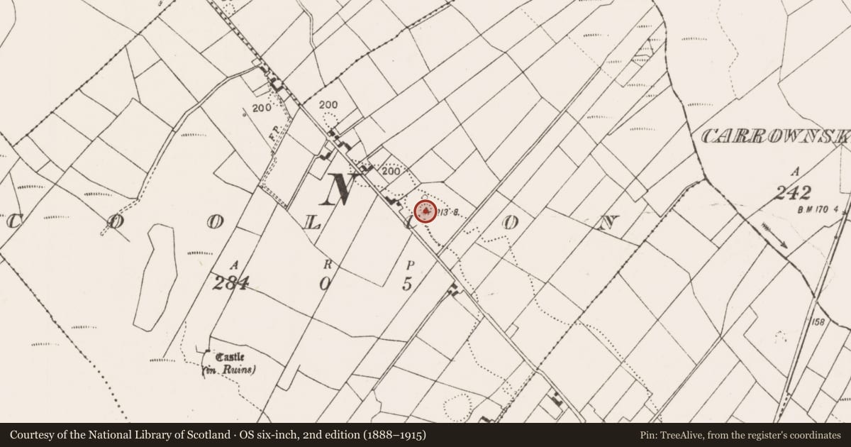 Ordnance Survey six-inch map, 2nd edition (1888–1915) covering the location of Enclosure, Coolcon, County Mayo, with a pin at the register's coordinates