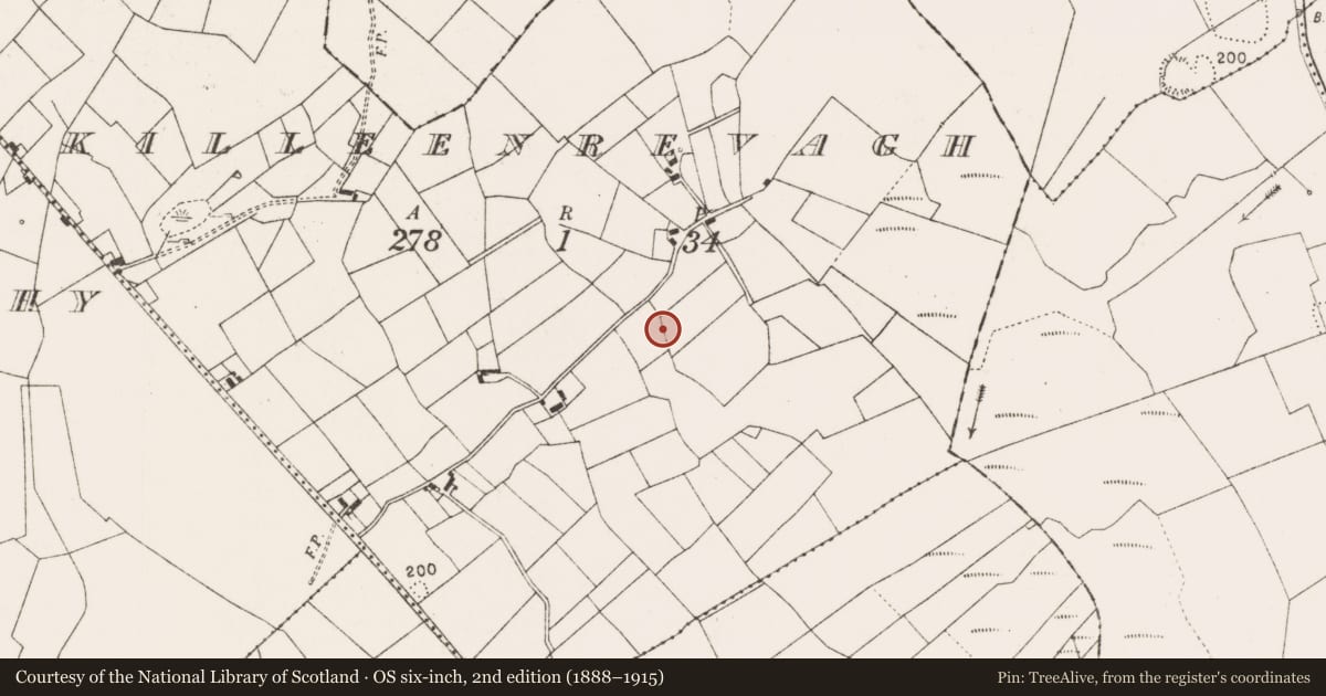 Ordnance Survey six-inch map, 2nd edition (1888–1915) covering the location of Enclosure, Killeenrevagh, County Mayo, with a pin at the register's coordinates