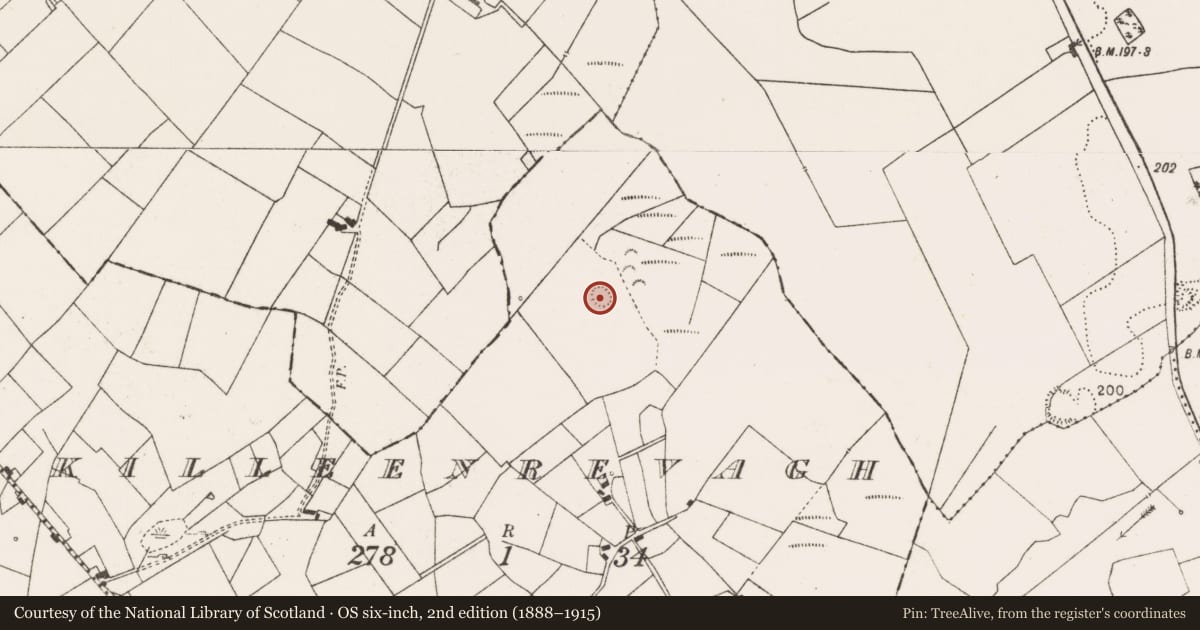 Ordnance Survey six-inch map, 2nd edition (1888–1915) covering the location of Ringfort - rath, Killeenrevagh, County Mayo, with a pin at the register's coordinates