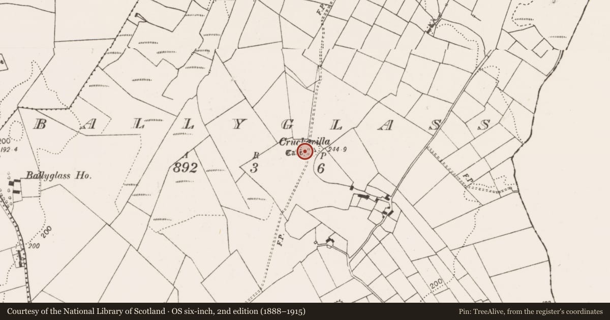 Ordnance Survey six-inch map, 2nd edition (1888–1915) covering the location of Souterrain, Ballyglass (Clanmorris By., Crossboyne Par.), County Mayo, with a pin at the register's coordinates