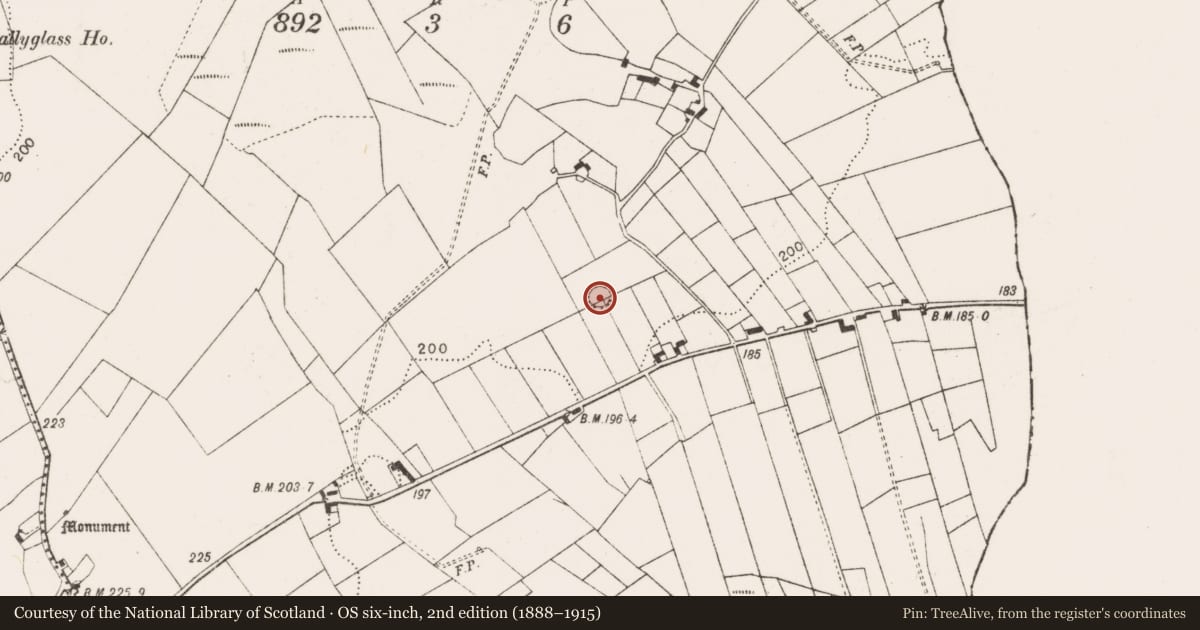 Ordnance Survey six-inch map, 2nd edition (1888–1915) covering the location of Children's burial ground, Ballyglass (Clanmorris By., Crossboyne Par.), County Mayo, with a pin at the register's coordinates