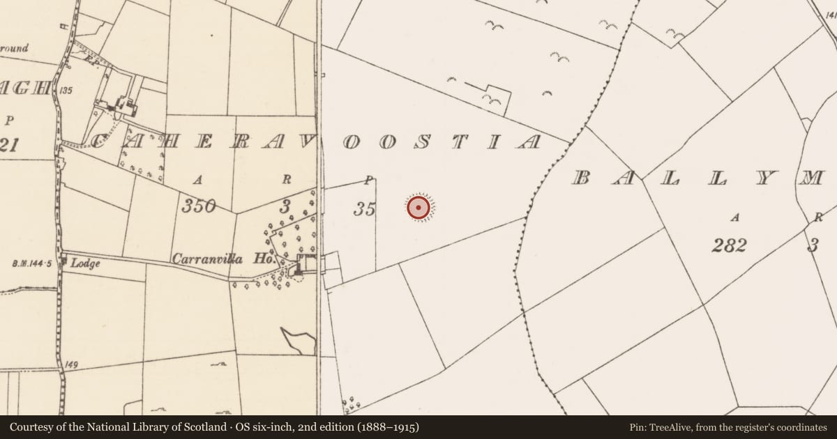 Ordnance Survey six-inch map, 2nd edition (1888–1915) covering the location of Ringfort - rath, Caheravoostia, County Mayo, with a pin at the register's coordinates