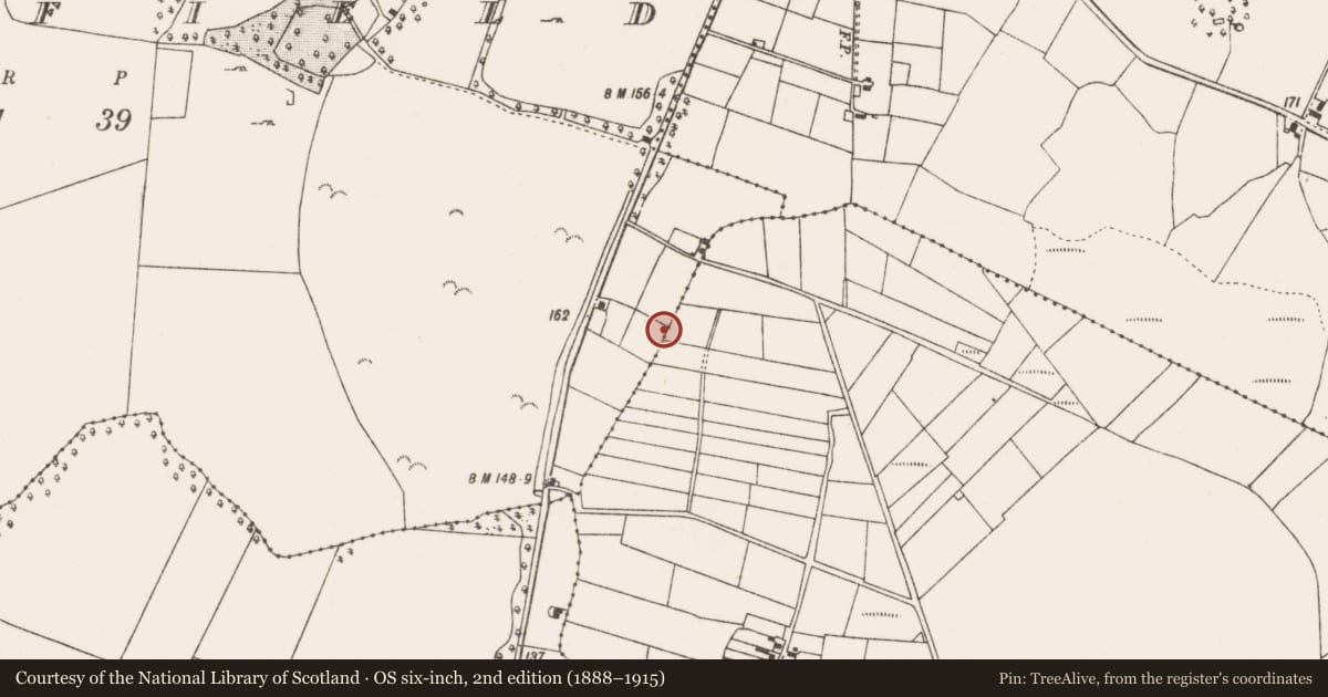 Ordnance Survey six-inch map, 2nd edition (1888–1915) covering the location of Earthwork, Annefield, Davros, County Mayo, with a pin at the register's coordinates