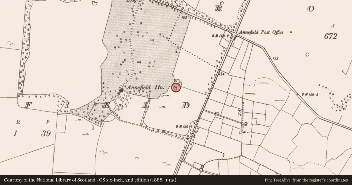 Ordnance Survey six-inch map, 2nd edition (1888–1915) covering the location of Designed landscape - tree-ring, Annefield, County Mayo, with a pin at the register's coordinates