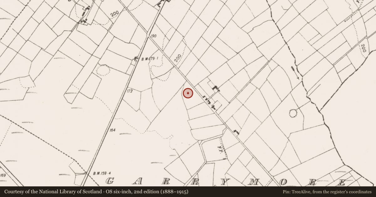 Ordnance Survey six-inch map, 2nd edition (1888–1915) covering the location of Ringfort - rath, Garrymore, County Mayo, with a pin at the register's coordinates