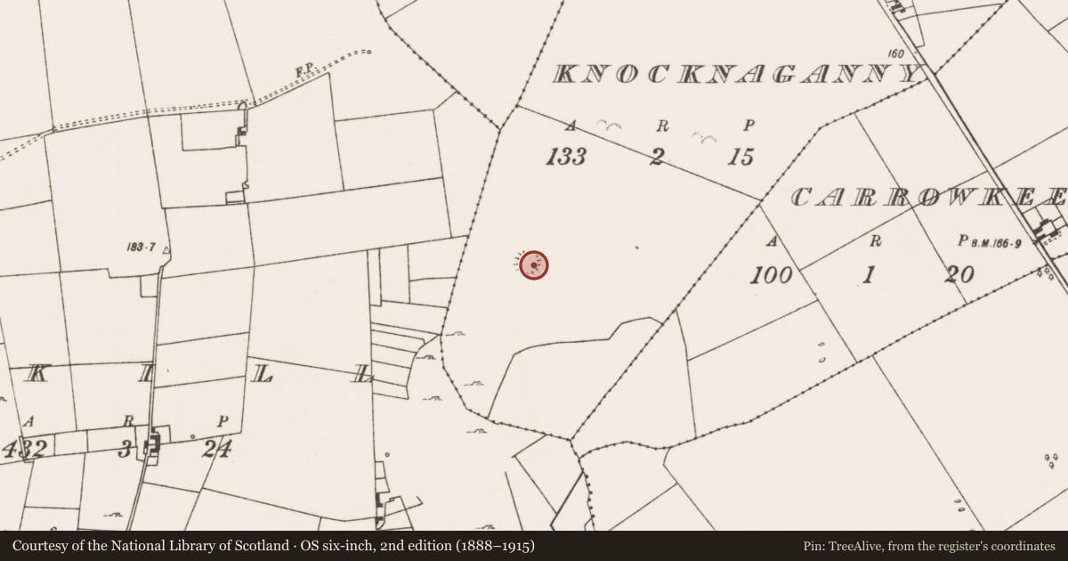 Ordnance Survey six-inch map, 2nd edition (1888–1915) covering the location of Ringfort - cashel, Knocknaganny, County Mayo, with a pin at the register's coordinates