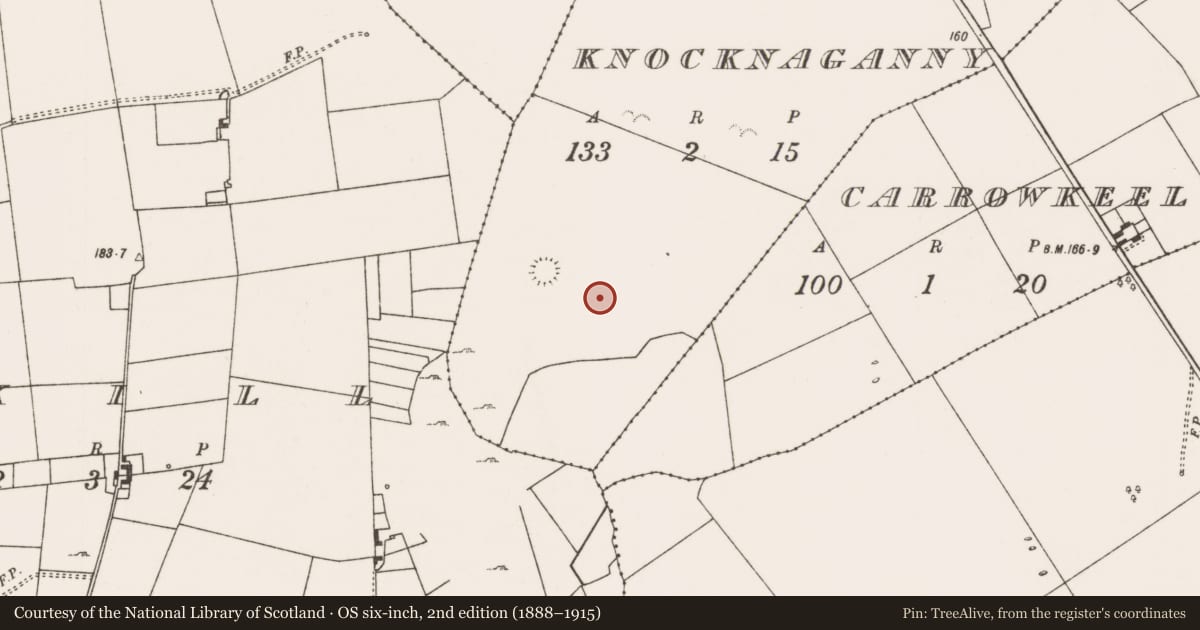 Ordnance Survey six-inch map, 2nd edition (1888–1915) covering the location of Field system, Knocknaganny, County Mayo, with a pin at the register's coordinates