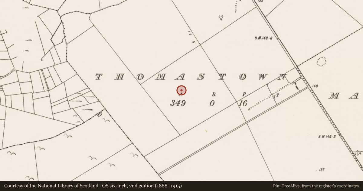 Ordnance Survey six-inch map, 2nd edition (1888–1915) covering the location of Enclosure, Thomastown (Kilmaine By., Kilcommon Par.), County Mayo, with a pin at the register's coordinates