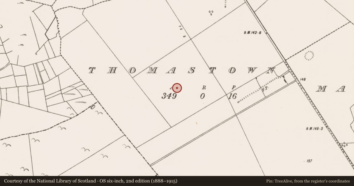 Ordnance Survey six-inch map, 2nd edition (1888–1915) covering the location of Enclosure, Thomastown (Kilmaine By., Kilcommon Par.), County Mayo, with a pin at the register's coordinates