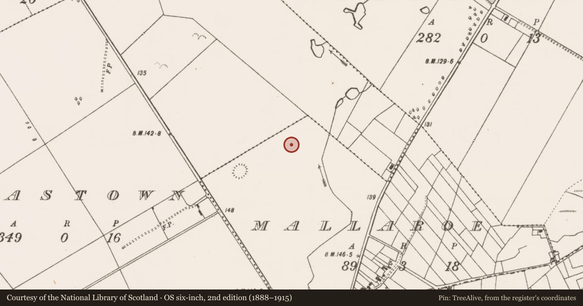 Ordnance Survey six-inch map, 2nd edition (1888–1915) covering the location of Enclosure, Mallaroe, County Mayo, with a pin at the register's coordinates