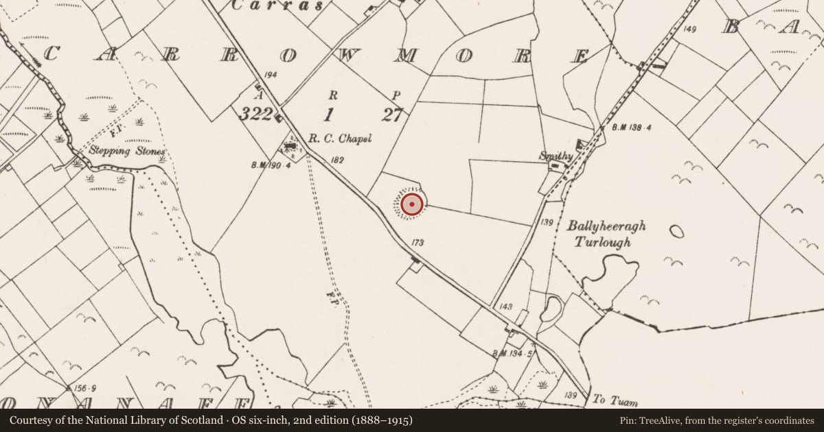 Ordnance Survey six-inch map, 2nd edition (1888–1915) covering the location of Ringfort - rath, Carrowmore (Kilmaine By., Kilcommon Par.), County Mayo, with a pin at the register's coordinates