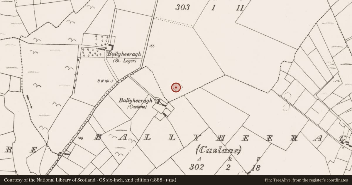 Ordnance Survey six-inch map, 2nd edition (1888–1915) covering the location of Children's burial ground, Ballyheeragh (St. Leger), County Mayo, with a pin at the register's coordinates