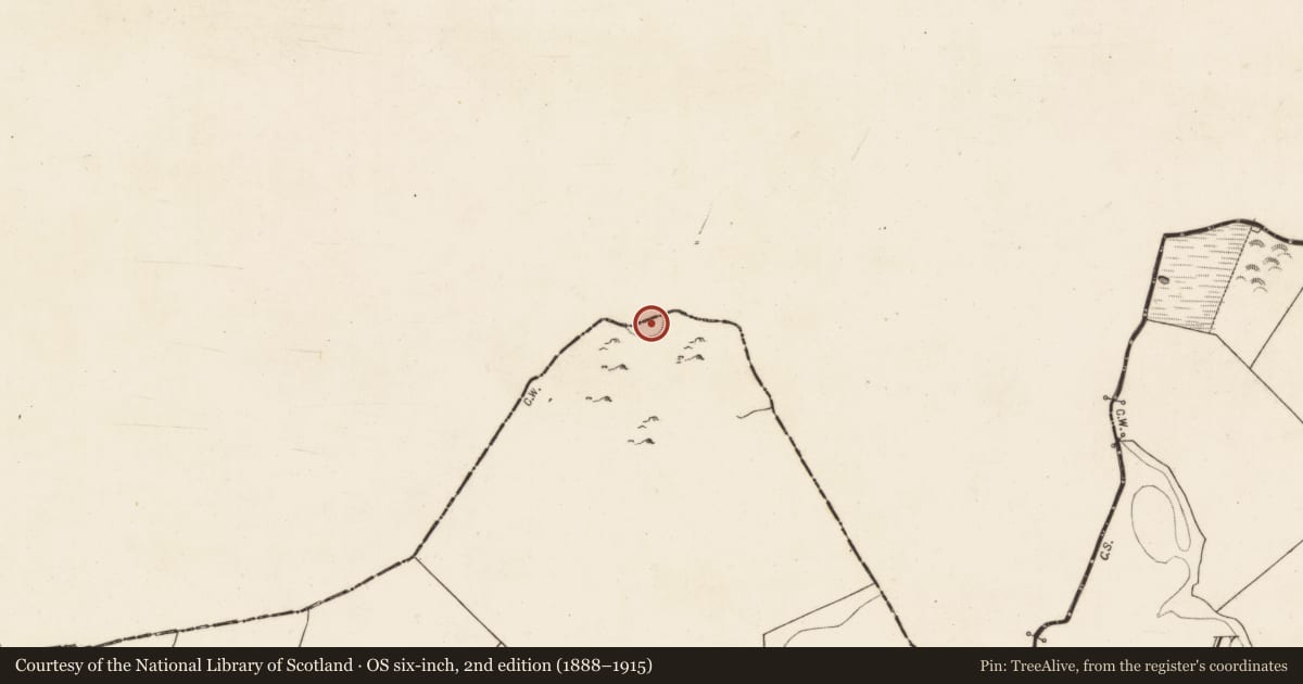 Ordnance Survey six-inch map, 2nd edition (1888–1915) covering the location of Ringfort - rath, Ballyheeragh (Caslane), County Mayo, with a pin at the register's coordinates
