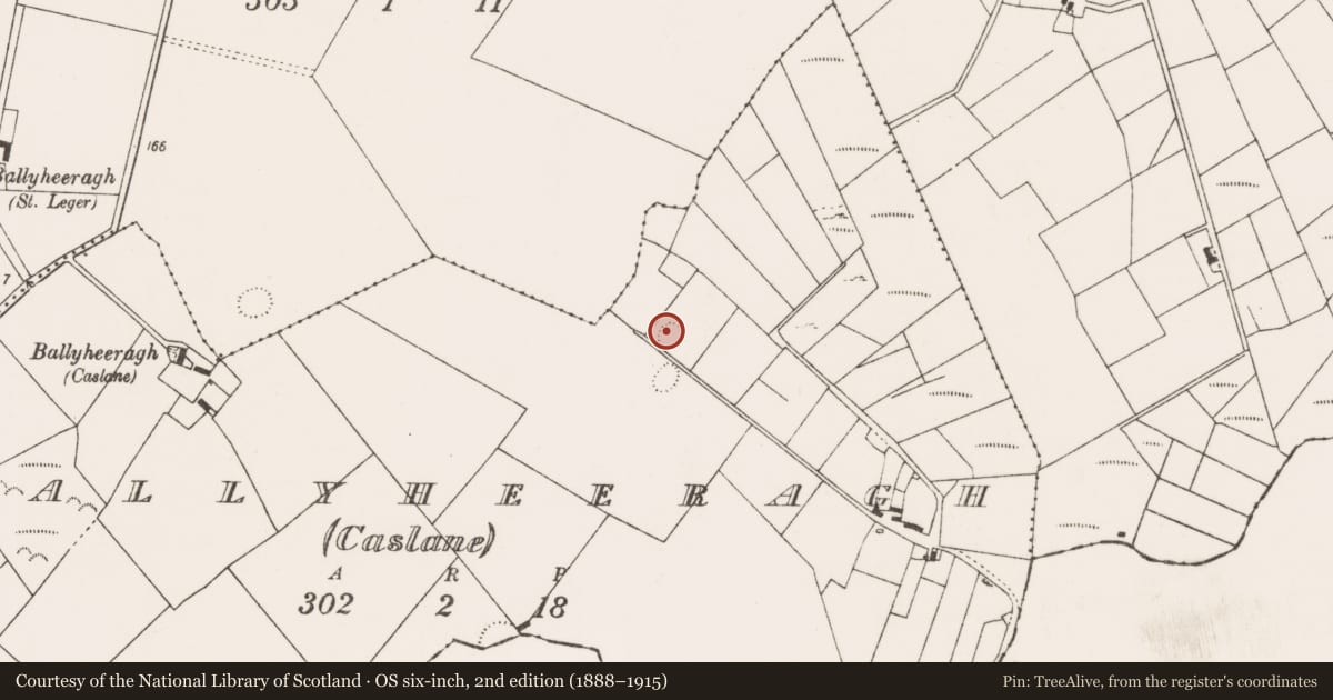 Ordnance Survey six-inch map, 2nd edition (1888–1915) covering the location of Ringfort - rath, Ballyheeragh (Caslane), County Mayo, with a pin at the register's coordinates