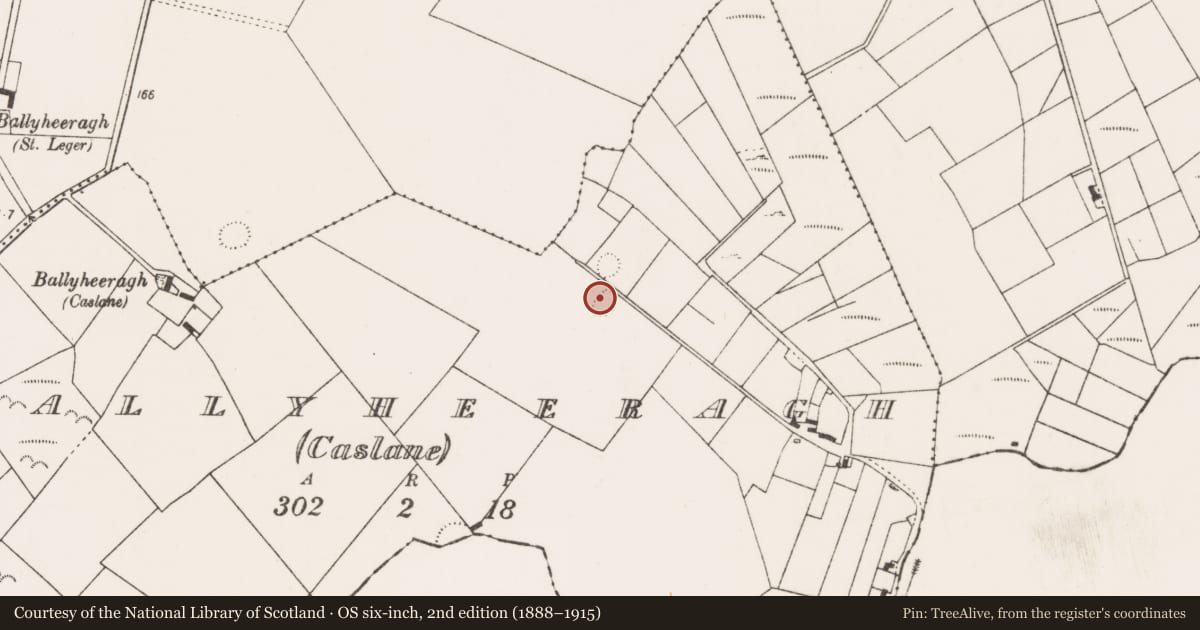 Ordnance Survey six-inch map, 2nd edition (1888–1915) covering the location of Children's burial ground, Ballyheeragh (Caslane), County Mayo, with a pin at the register's coordinates