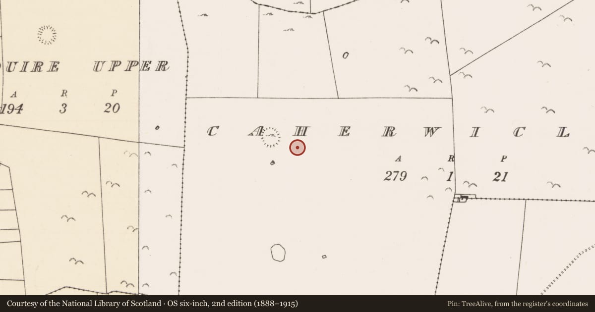 Ordnance Survey six-inch map, 2nd edition (1888–1915) covering the location of Field system, Caherwiclaun, County Mayo, with a pin at the register's coordinates