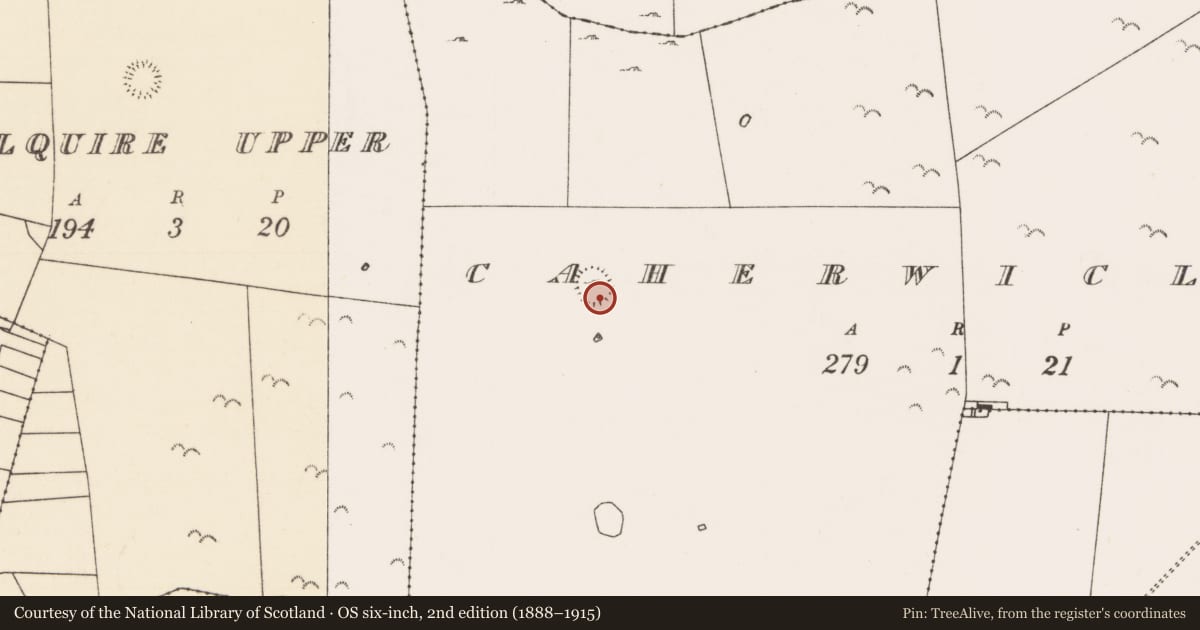 Ordnance Survey six-inch map, 2nd edition (1888–1915) covering the location of House - indeterminate date, Caherwiclaun, County Mayo, with a pin at the register's coordinates