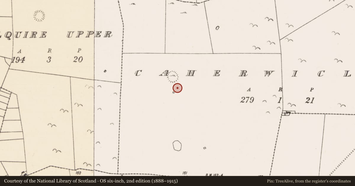 Ordnance Survey six-inch map, 2nd edition (1888–1915) covering the location of House - indeterminate date, Caherwiclaun, County Mayo, with a pin at the register's coordinates