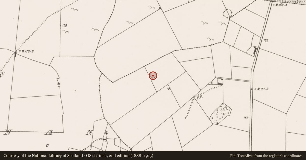 Ordnance Survey six-inch map, 2nd edition (1888–1915) covering the location of Enclosure, Rathgranagher (Miller), County Mayo, with a pin at the register's coordinates