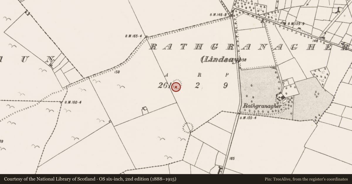 Ordnance Survey six-inch map, 2nd edition (1888–1915) covering the location of Ringfort - rath, Rathgranagher (Lindsay), County Mayo, with a pin at the register's coordinates