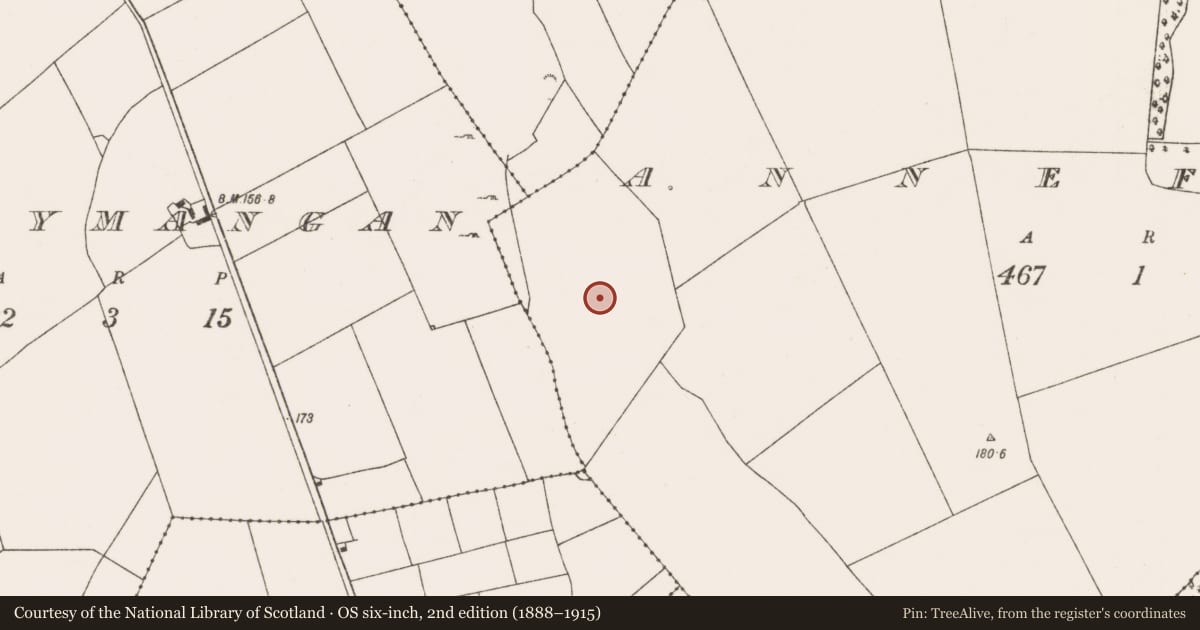Ordnance Survey six-inch map, 2nd edition (1888–1915) covering the location of Deer park, Annefield, County Mayo, with a pin at the register's coordinates