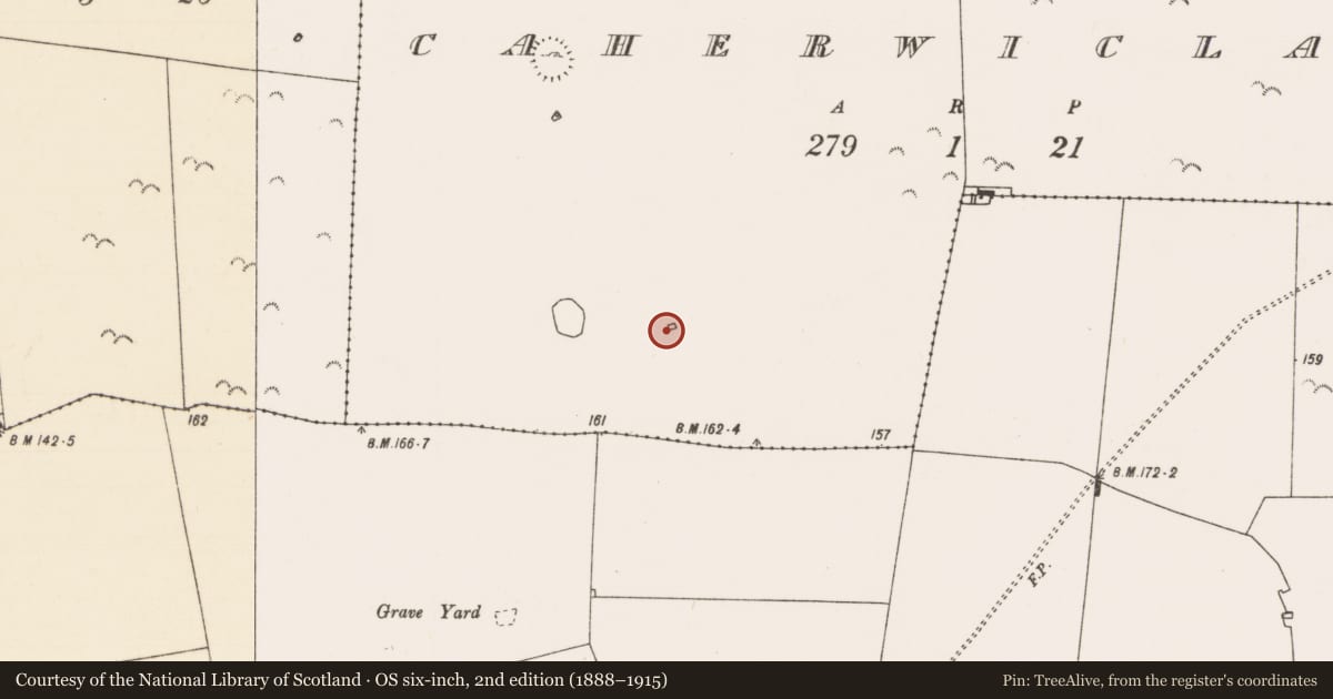 Ordnance Survey six-inch map, 2nd edition (1888–1915) covering the location of Ringfort - cashel, Caherwiclaun, County Mayo, with a pin at the register's coordinates