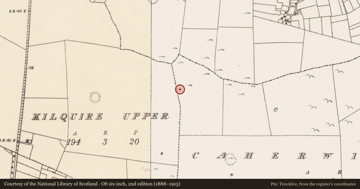 Ordnance Survey six-inch map, 2nd edition (1888–1915) covering the location of Enclosure, County Mayo, with a pin at the register's coordinates