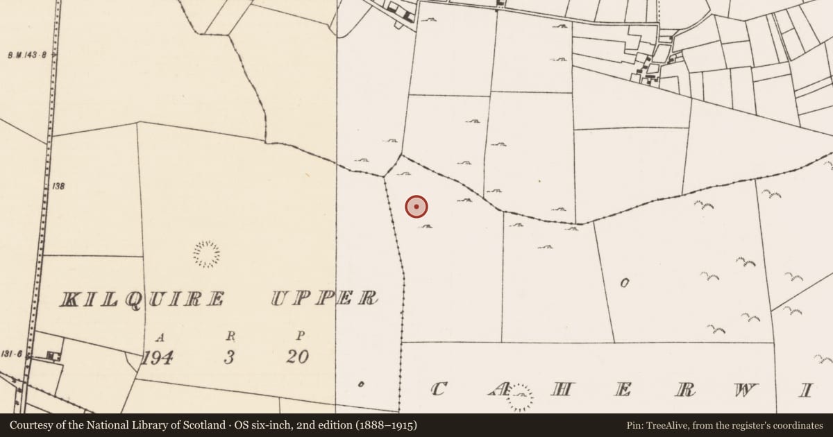 Ordnance Survey six-inch map, 2nd edition (1888–1915) covering the location of Field system, County Mayo, with a pin at the register's coordinates