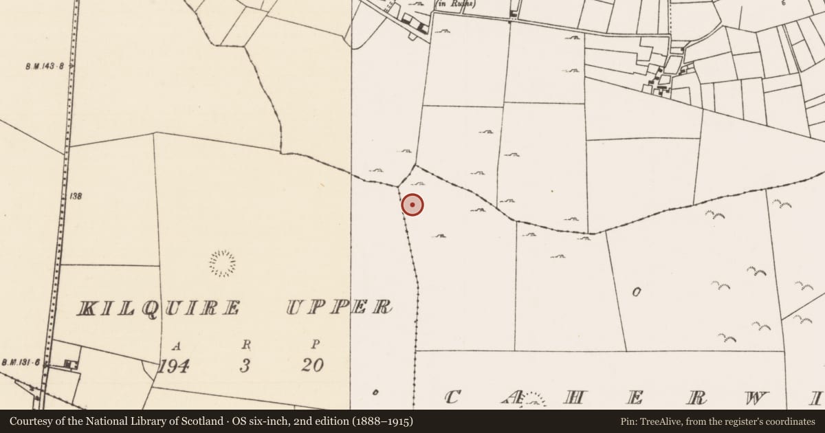 Ordnance Survey six-inch map, 2nd edition (1888–1915) covering the location of House - indeterminate date, Caherwiclaun, County Mayo, with a pin at the register's coordinates