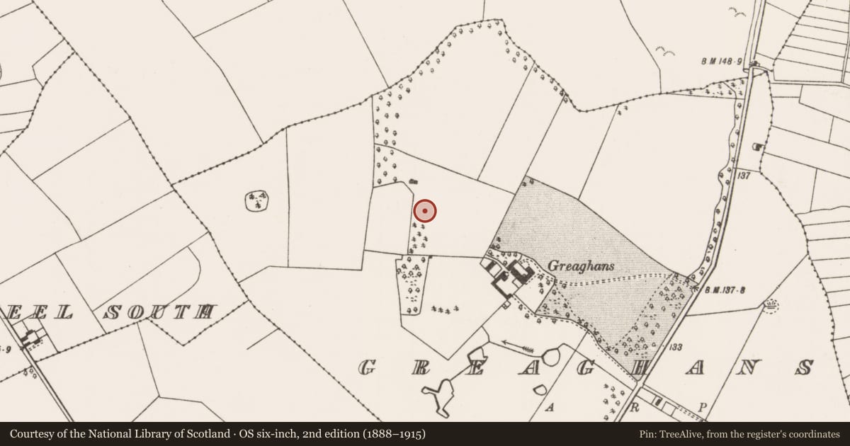 Ordnance Survey six-inch map, 2nd edition (1888–1915) covering the location of Souterrain, Greaghans, County Mayo, with a pin at the register's coordinates