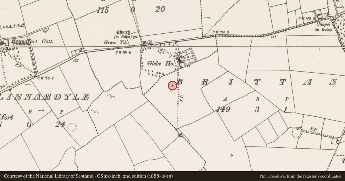 Ordnance Survey six-inch map, 2nd edition (1888–1915) covering the location of Ringfort - rath, Brittas, County Mayo, with a pin at the register's coordinates