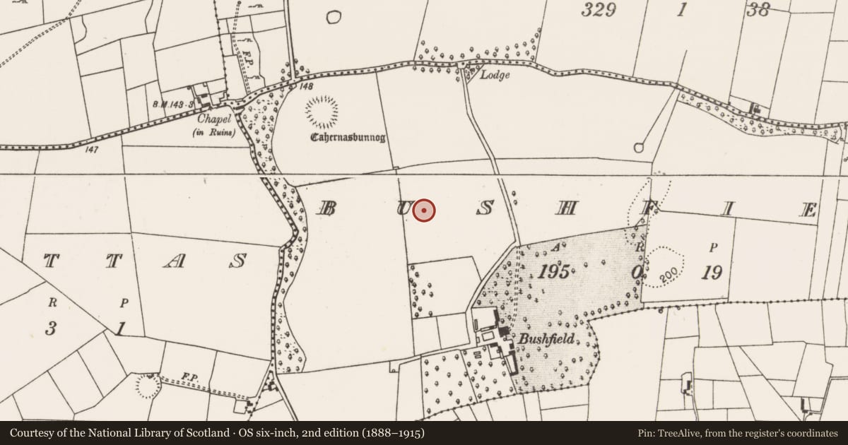 Ordnance Survey six-inch map, 2nd edition (1888–1915) covering the location of Enclosure, Bushfield, County Mayo, with a pin at the register's coordinates