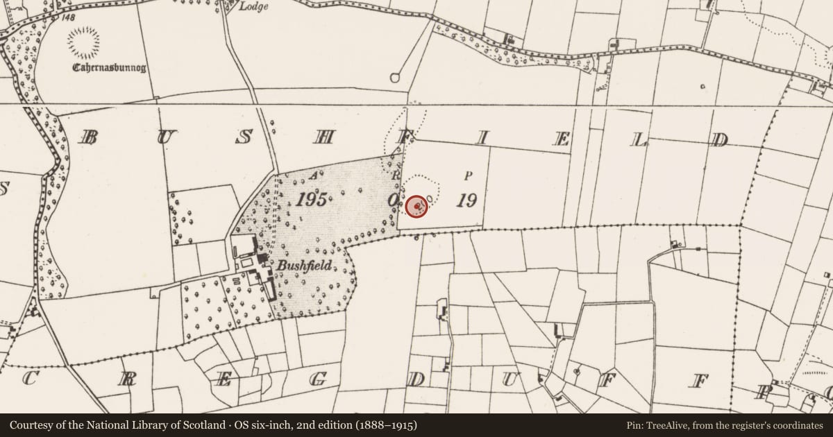 Ordnance Survey six-inch map, 2nd edition (1888–1915) covering the location of Barrow - pond barrow, Bushfield, County Mayo, with a pin at the register's coordinates