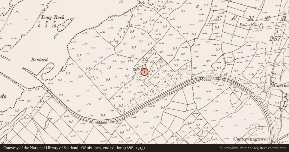 Ordnance Survey six-inch map, 2nd edition (1888–1915) covering the location of Ringfort - cashel, Knocknamucklagh, County Mayo, with a pin at the register's coordinates