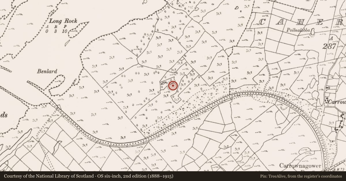 Ordnance Survey six-inch map, 2nd edition (1888–1915) covering the location of Hut site, Knocknamucklagh, County Mayo, with a pin at the register's coordinates