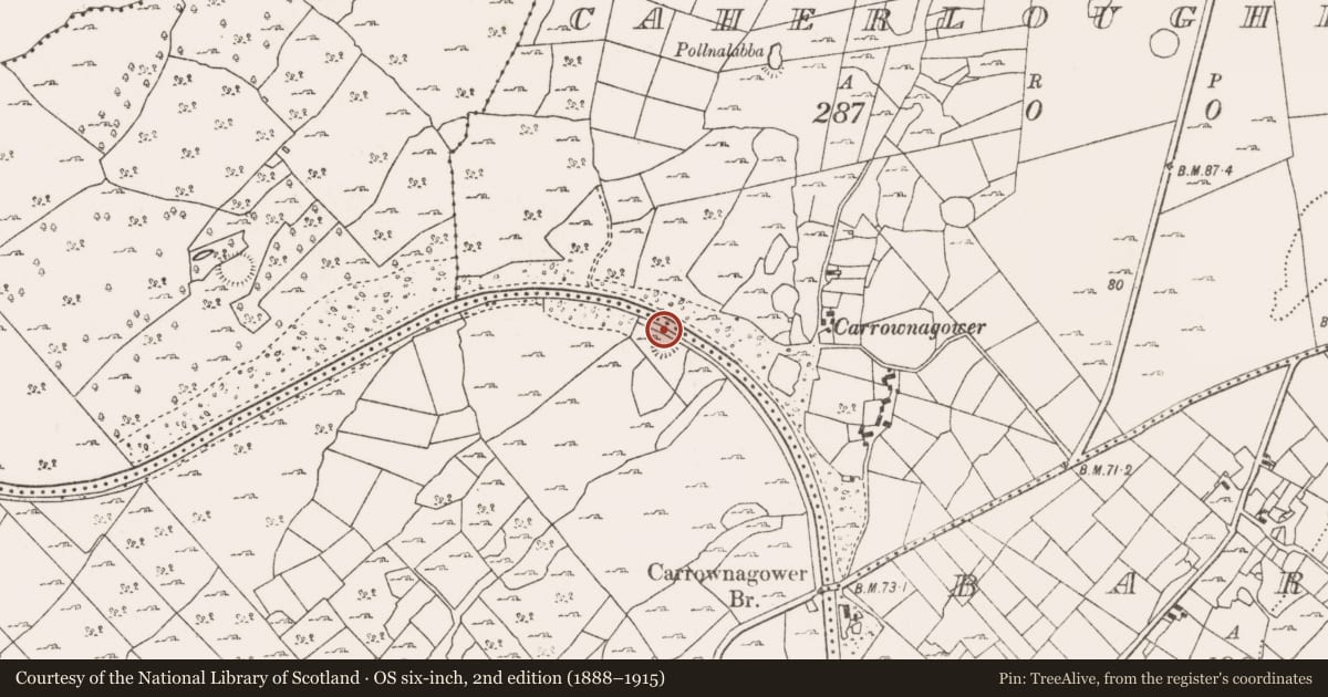 Ordnance Survey six-inch map, 2nd edition (1888–1915) covering the location of Enclosure, Caherloughlin, Killimor, County Mayo, with a pin at the register's coordinates