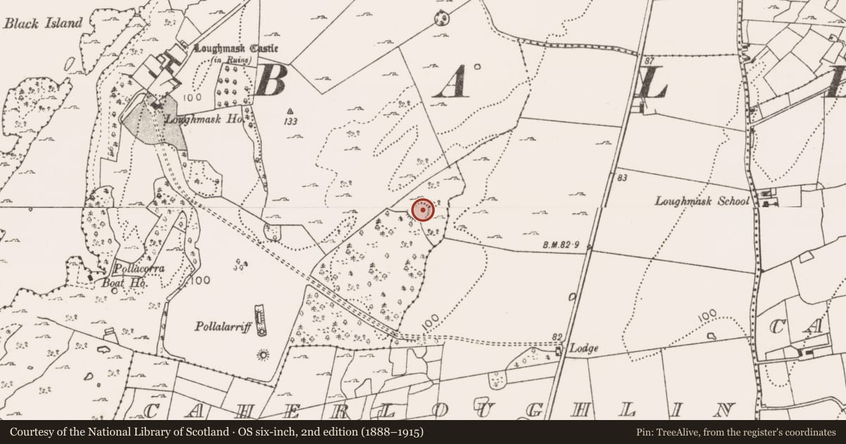 Ordnance Survey six-inch map, 2nd edition (1888–1915) covering the location of Enclosure, Knocknamucklagh, County Mayo, with a pin at the register's coordinates