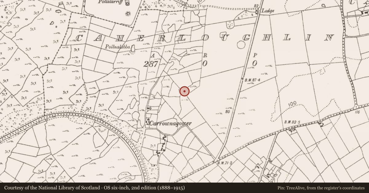Ordnance Survey six-inch map, 2nd edition (1888–1915) covering the location of Enclosure, Caherloughlin, County Mayo, with a pin at the register's coordinates