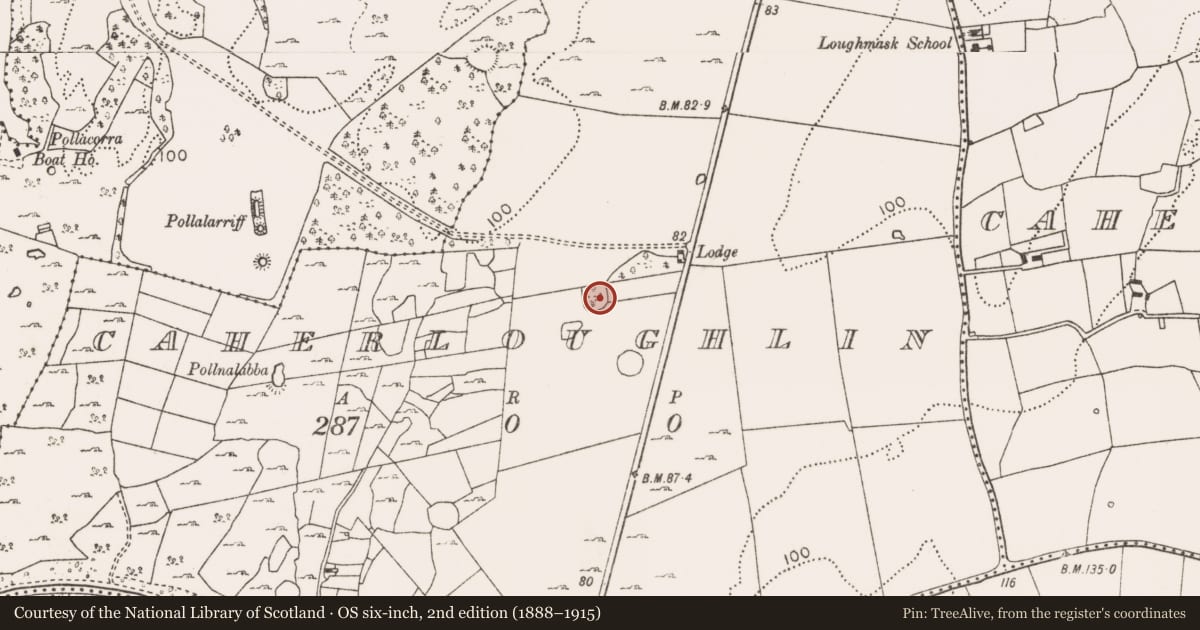Ordnance Survey six-inch map, 2nd edition (1888–1915) covering the location of Enclosure, Caherloughlin, County Mayo, with a pin at the register's coordinates