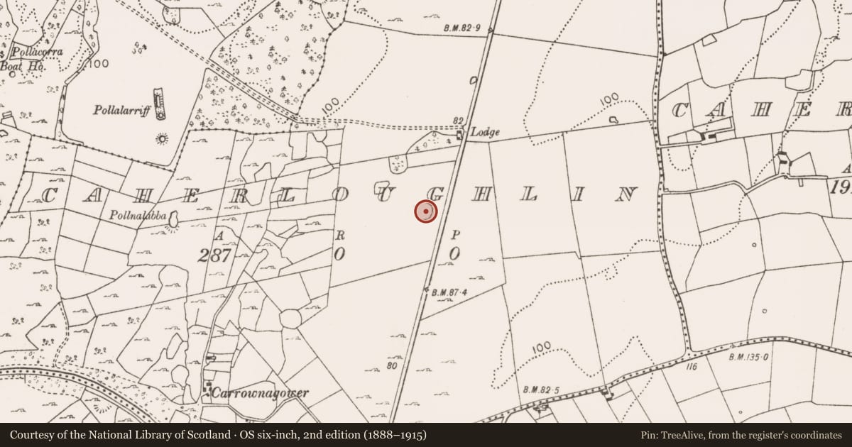 Ordnance Survey six-inch map, 2nd edition (1888–1915) covering the location of Enclosure, Caherloughlin, County Mayo, with a pin at the register's coordinates