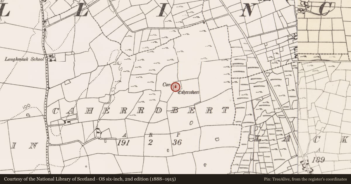 Ordnance Survey six-inch map, 2nd edition (1888–1915) covering the location of Souterrain, Caherrobert, County Mayo, with a pin at the register's coordinates