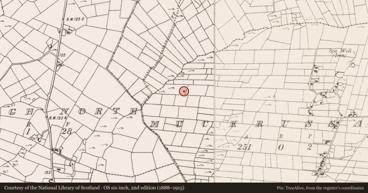 Ordnance Survey six-inch map, 2nd edition (1888–1915) covering the location of Enclosure, Muckrussaun, County Mayo, with a pin at the register's coordinates