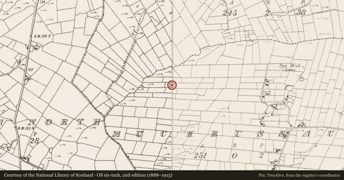 Ordnance Survey six-inch map, 2nd edition (1888–1915) covering the location of Enclosure, Muckrussaun, County Mayo, with a pin at the register's coordinates