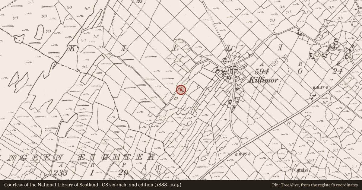 Ordnance Survey six-inch map, 2nd edition (1888–1915) covering the location of Enclosure, Killimor, County Mayo, with a pin at the register's coordinates