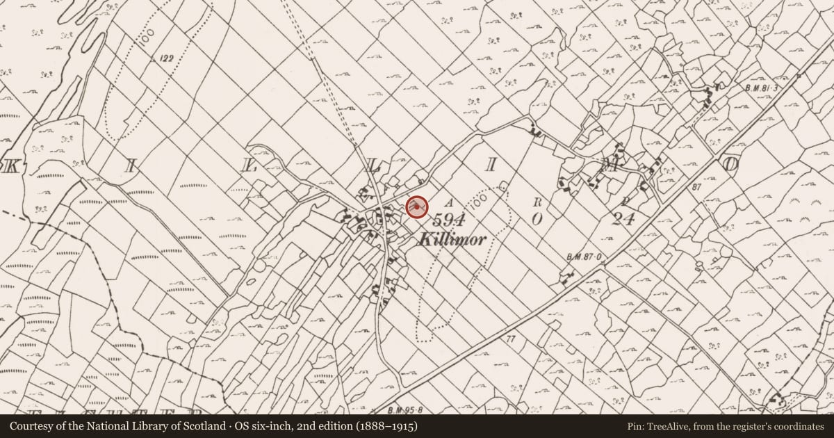 Ordnance Survey six-inch map, 2nd edition (1888–1915) covering the location of Church, Killimor, County Mayo, with a pin at the register's coordinates