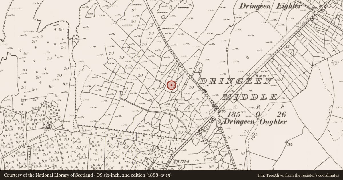 Ordnance Survey six-inch map, 2nd edition (1888–1915) covering the location of Enclosure, Dringeen Oughter, County Mayo, with a pin at the register's coordinates