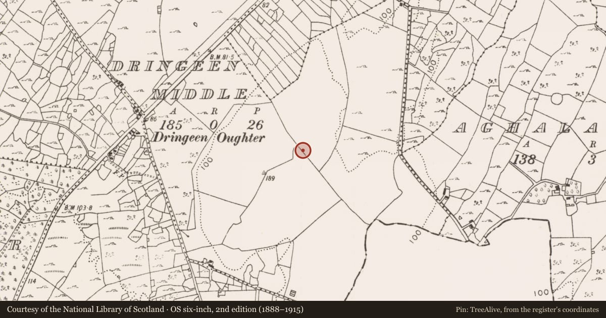 Ordnance Survey six-inch map, 2nd edition (1888–1915) covering the location of Enclosure, Dringeen Middle, County Mayo, with a pin at the register's coordinates